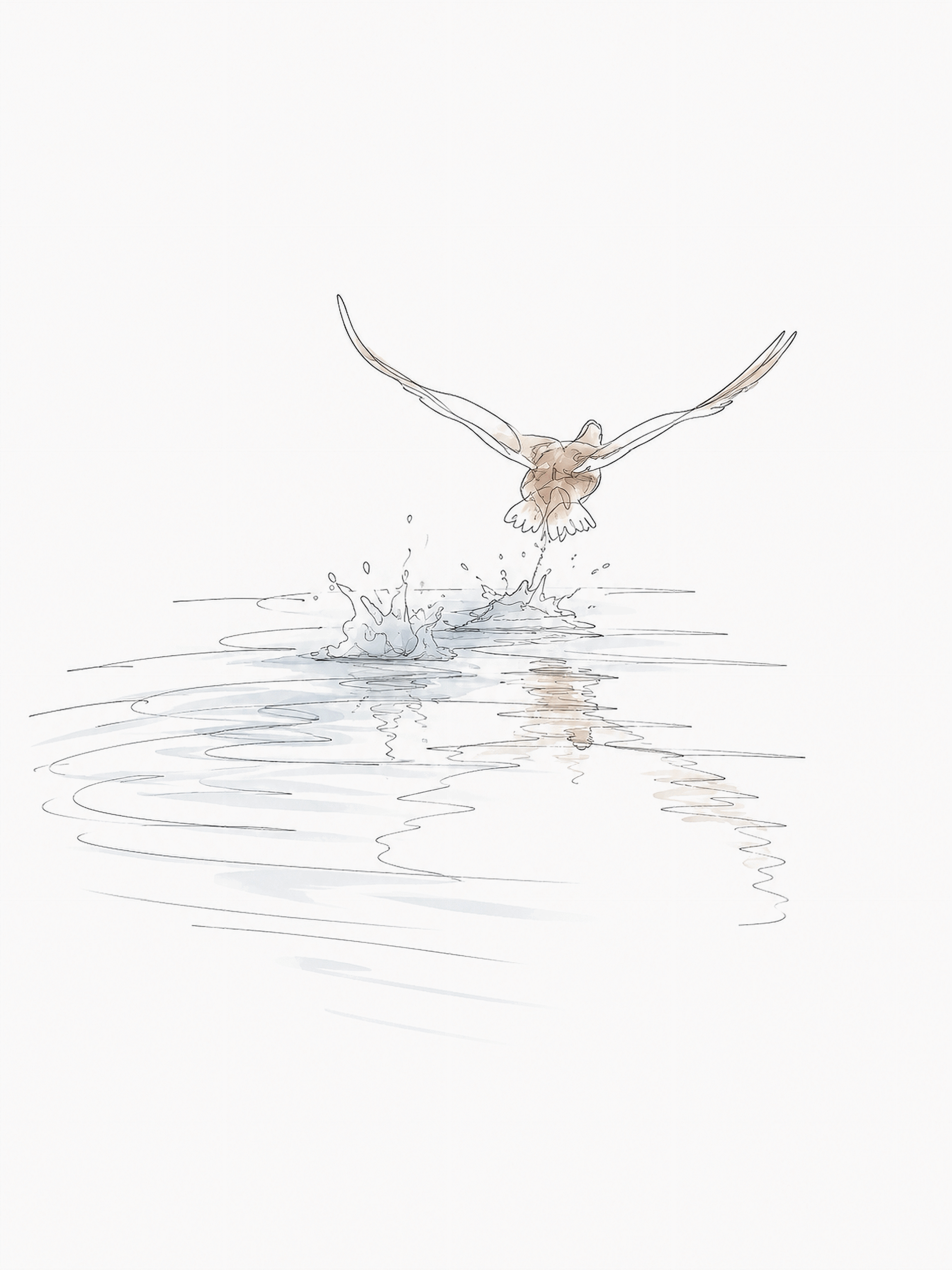vogel opstijgend water